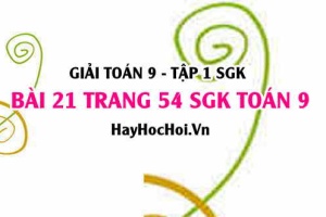 Giải bài 21 trang 54 SGK Toán 9 tập 1